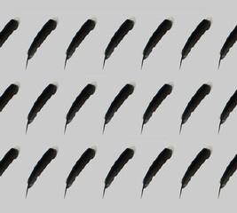 pattern of bird feathers