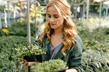 Attractive woman came to plant shop to choose flower for herself at home. Pensive girl is keen on choice