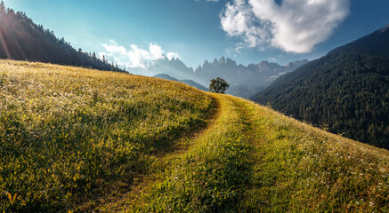 Summer landscape with green grass on mountain hills, road on alpine meadow and clouds during...