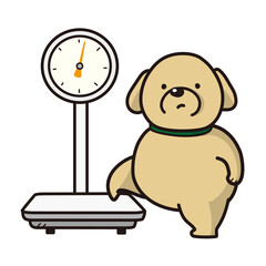 体重測定をする太った犬　ペットの健康管理