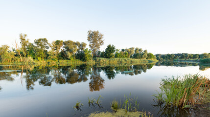 Big tranquil lake near green woods.