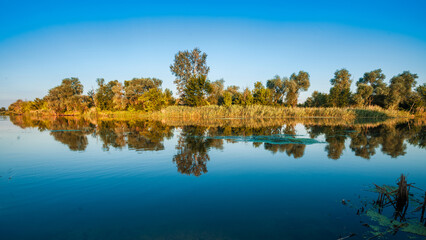 Big tranquil lake near green woods.