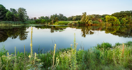 Fototapeta premium Big lake with clear water near summer forest.