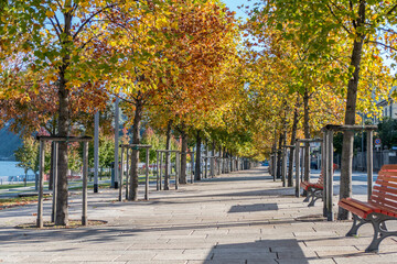 Naklejka premium foliage with a red park bench in Luino near the Lake Maggiore