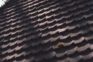 vintage wooden roof pattern