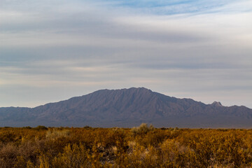 Majestic mountain in the field.