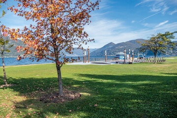 Obraz premium Foliage in a sunny autumn day in Germignaga, on the Lake Maggiore