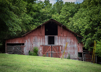 old barn in the woods © Jolyn