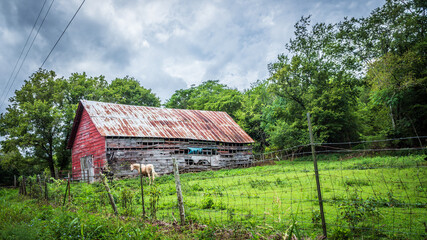 Fototapeta na wymiar old red barn in the countryside
