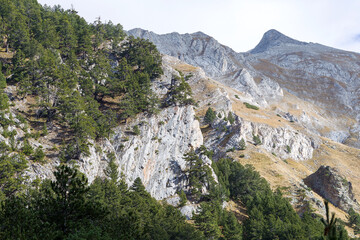 Beautiful authentic rocky landscape of the Pyrenees. Bulgaria. Natural mountain landscape as background.