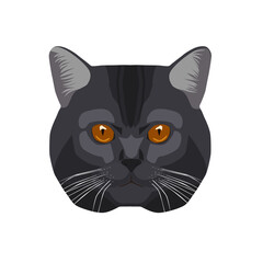 Cat face in flat syle, isolated on white, vector illustration