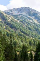 Obraz premium Beautiful authentic rocky landscape of the Pyrenees. Bulgaria. Natural mountain landscape as background.