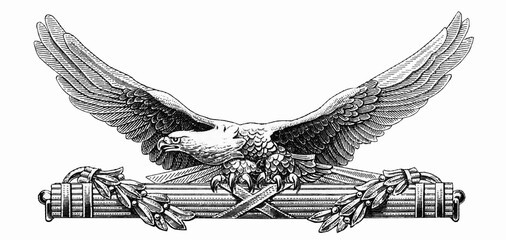 The eagle is one of the symbols of the United States. Portrait from United States of America 5...