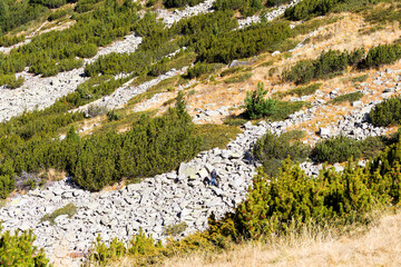 Beautiful authentic rocky landscape of the Pyrenees. Bulgaria. Natural mountain landscape as background.