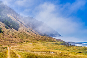 Hikers, ocean, trail, path, hillside, fog, clouds, sea