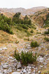 Beautiful authentic rocky landscape of the Pyrenees. Bulgaria. Natural mountain landscape as background.