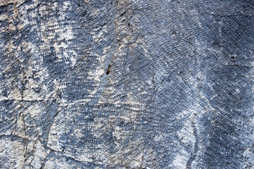 stone wall texture