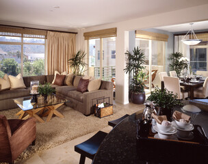 Home interior design house modern living room with dining room