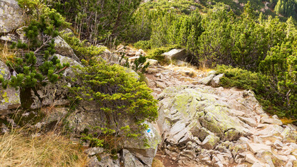 Beautiful authentic rocky landscape of the Pyrenees. Bulgaria. Natural mountain landscape as background.