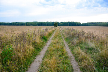 Fototapeta premium Nizhny Novgorod region, Russia - August 28, 2020: Path through the field from Svetloyar Lake to Kibelek source