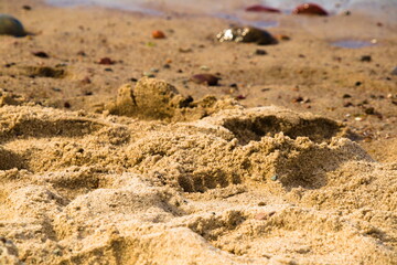 piasek na plaży © Magical moments