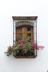 Fototapeta na wymiar Window with flowers and pots on white background
