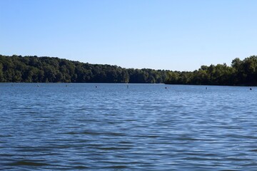 The ripples on the peaceful lake on a sunny morning.