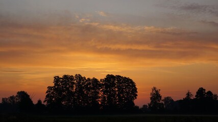 September morning, silhouettes of trees
