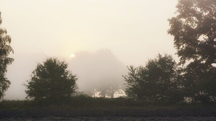 Obraz na płótnie Canvas September sunrise over fields, autumn morning, sun, trees