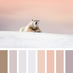 Polar bear palette