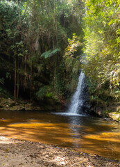 waterfall in the woods