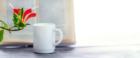 Coffee mug near an open book and a flowerpot in front of the window, panorama, copy space