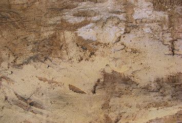 abstraction surface with stains and spots of different shades