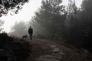 A Walk in a Foggy Forest