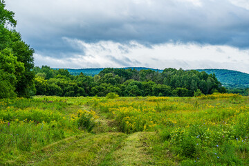 landscape with clouds and forest