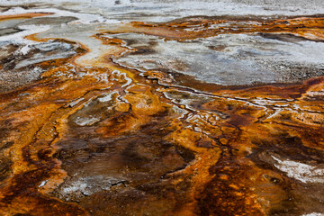 Runoff From Ear Springs in Yellowstone