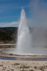 Geyser at Yellowstone National Park