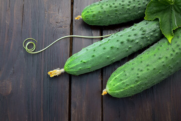 Fresh green cucumbers with thorns on a wooden table