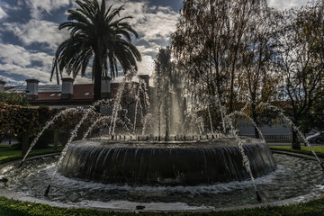 Una fuente con un &aacute;rbol y una palmera de fondo.