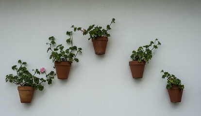 Seis macetas puestas en forma de triangulo.