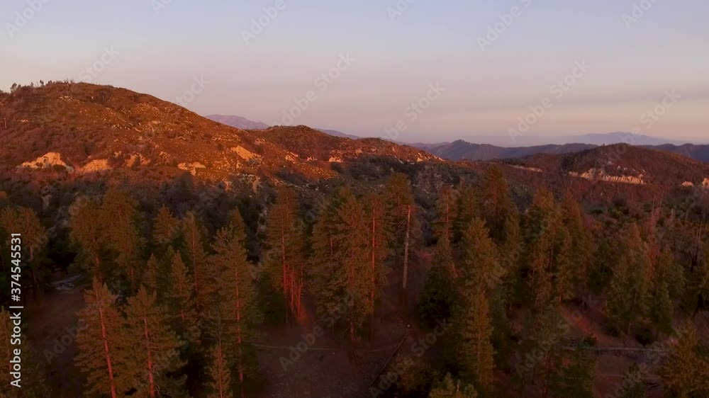 Poster Aerial view of Angeles National Forest, California 