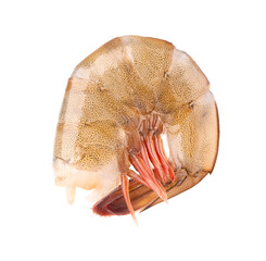 Raw shrimp isolated on white background. Raw prawns.