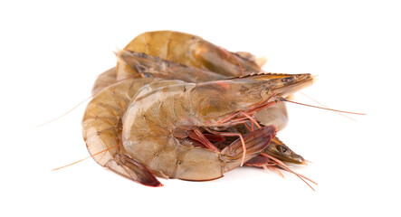 Raw shrimp isolated on white background. Raw prawns.