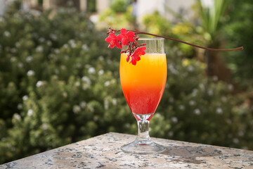 glass with a yellow-red two-layer cocktail on a green background