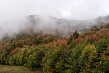 Autumn fog on the mountain hills. Misty fall woodland