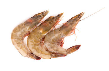 Raw shrimp isolated on white background. Raw prawns.