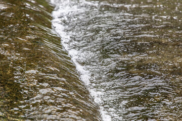 water flowing in the forest