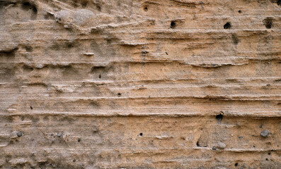 Obraz premium Dry stratified soil with wasp nest entries.