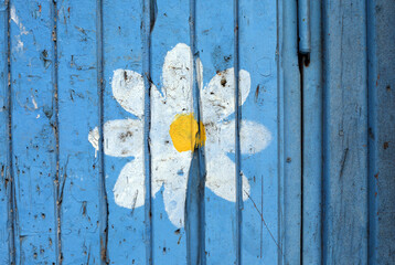flower on blue wooden background