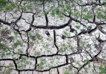 texture of dried cracked surface layer of the earth